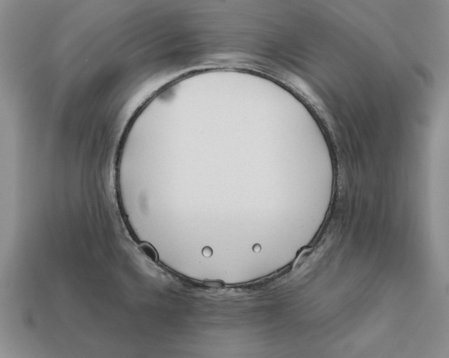 X0000112401336200909110921