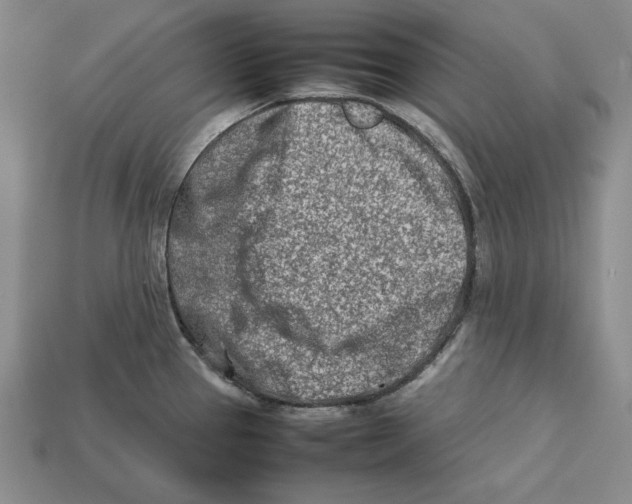 X0000112401337200909110921