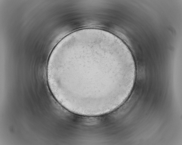 X0000112401338200909110921