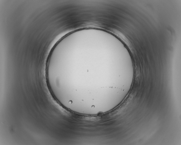 X0000112401339200909110921