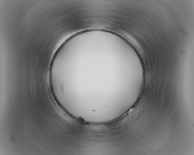X0000112401340200909110921