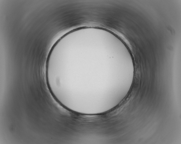 X0000112401343200909110921