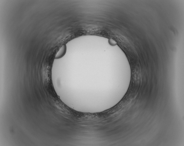 X0000112401346200909110920