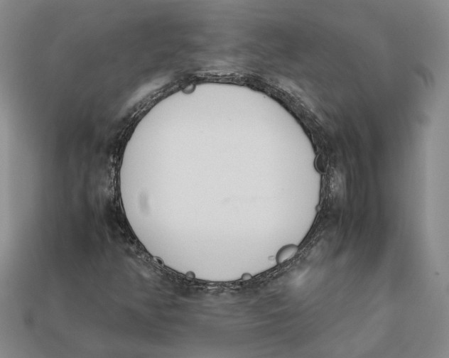 X0000112401350200909110920