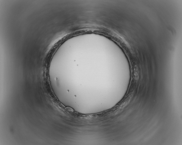 X0000112401352200909110920