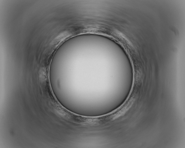 X0000112401353200909110920