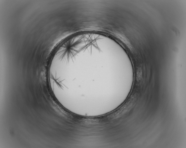 X0000112401356200909110920