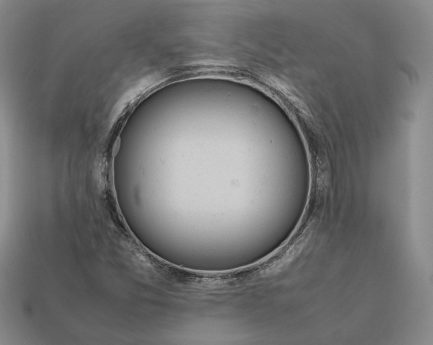 X0000112401357200909110920