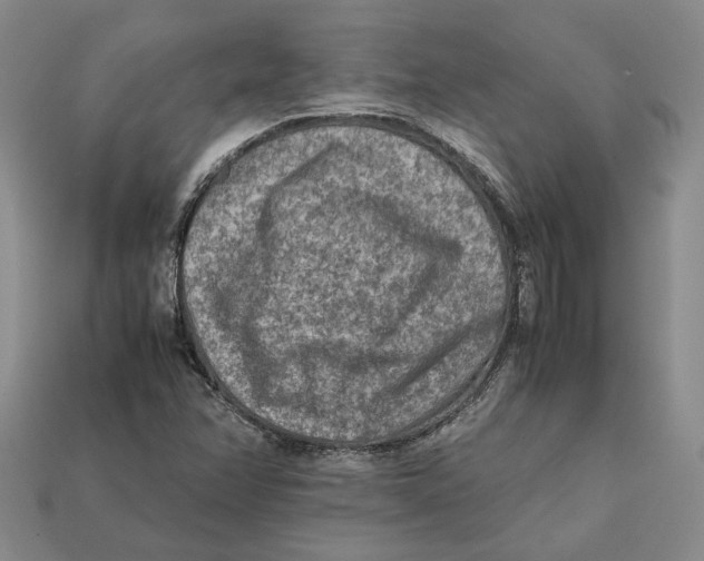 X0000112401358200909110920