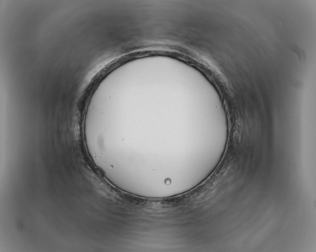 X0000112401360200909110920