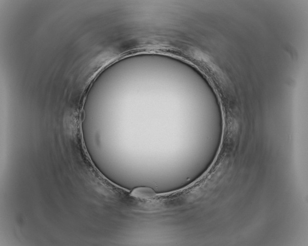X0000112401361200909110920