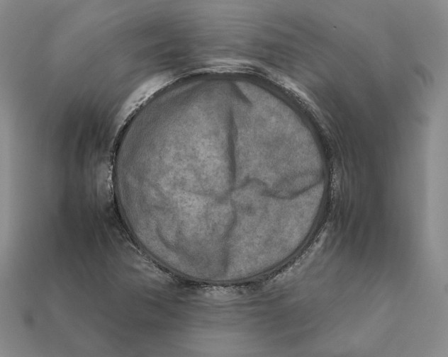 X0000112401362200909110920