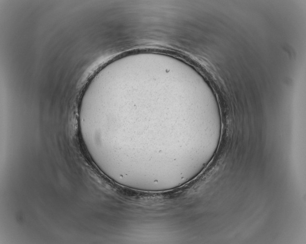 X0000112401363200909110920