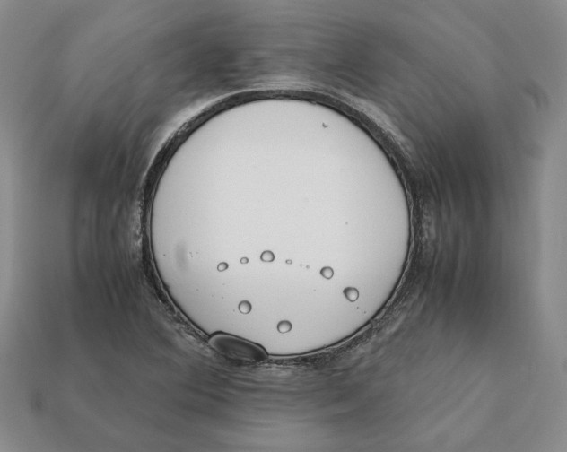 X0000112401364200909110920
