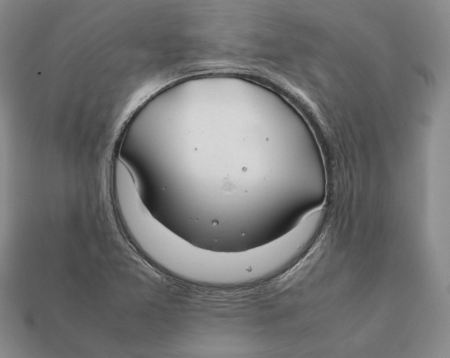 X0000112401365200909110920
