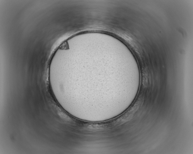 X0000112401366200909110920