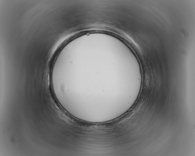 X0000112401368200909110920