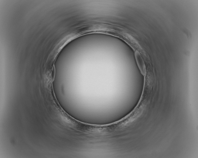 X0000112401369200909110920