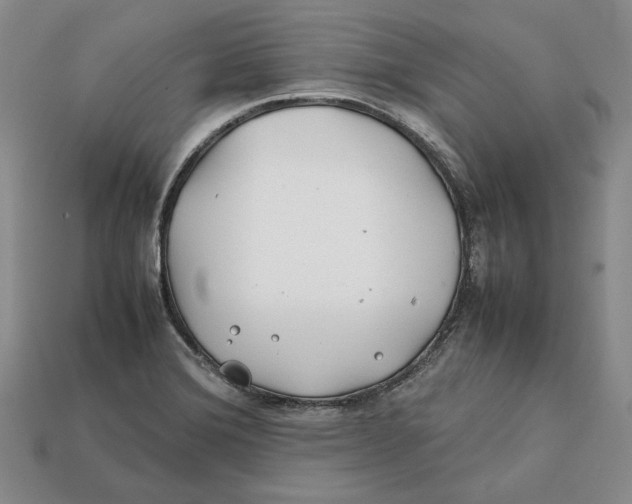 X0000112401372200909110920