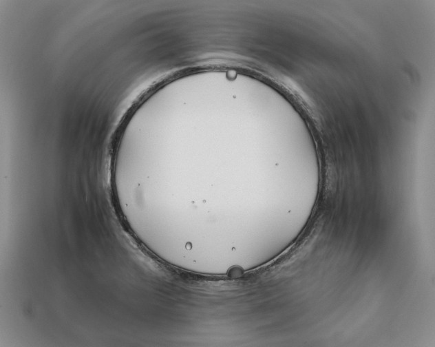 X0000112401376200909110920