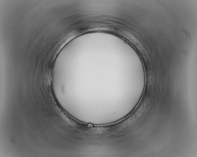 X0000112401377200909110920