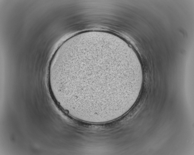 X0000112401379200909110920