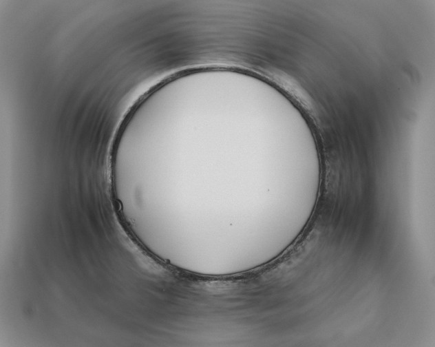 X0000112401380200909110920