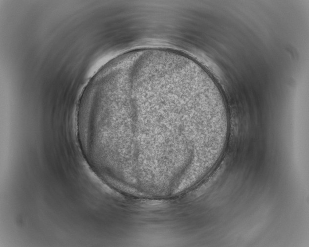 X0000112401382200909110920