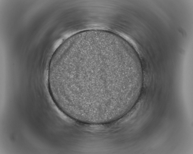 X0000112401383200909110920