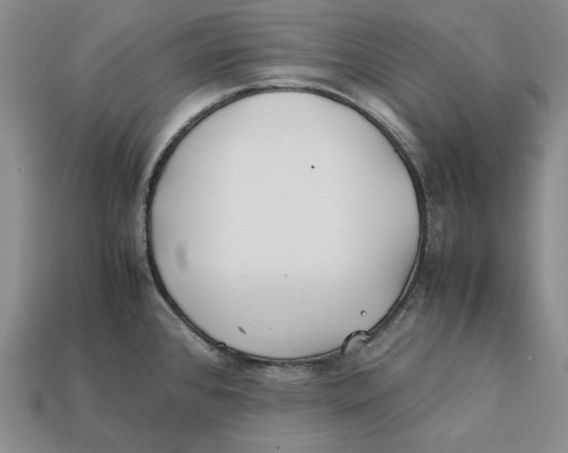 X0000112401384200909110920