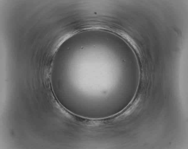 X0000112401385200909110920