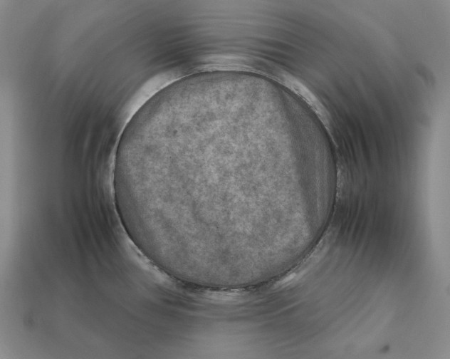 X0000112401386200909110919