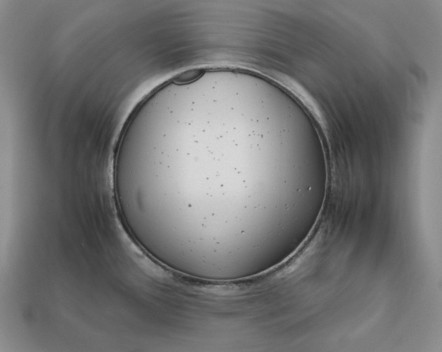 X0000112401388200909110919