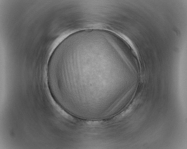 X0000112401389200909110919