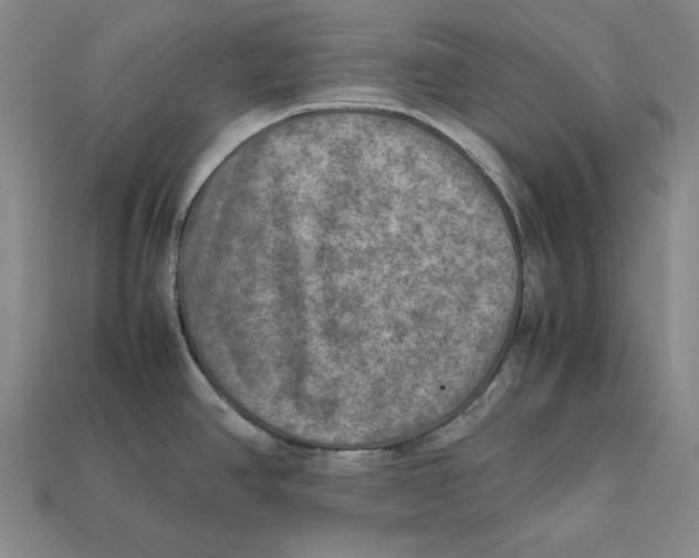 X0000112401390200909110919