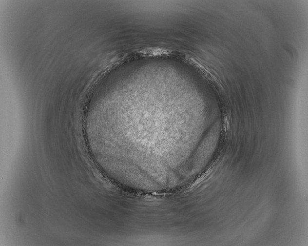 X0000112401393200909110919