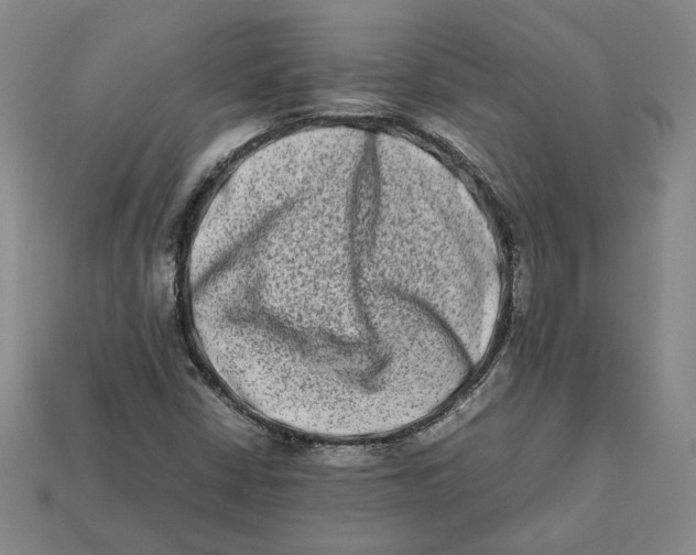 X0000112401402200909110919