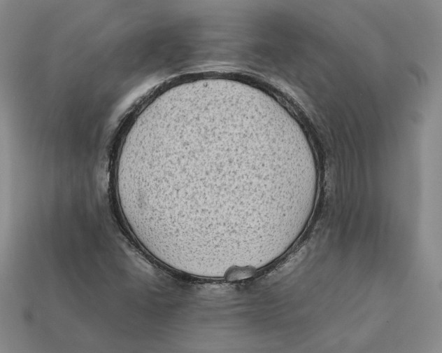 X0000112401406200909110919