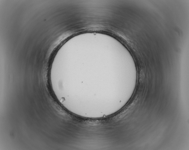 X0000112401410200909110919