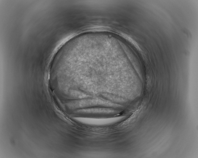 X0000112401413200909110919