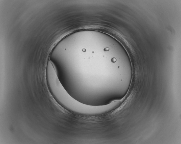 X0000112401417200909110919