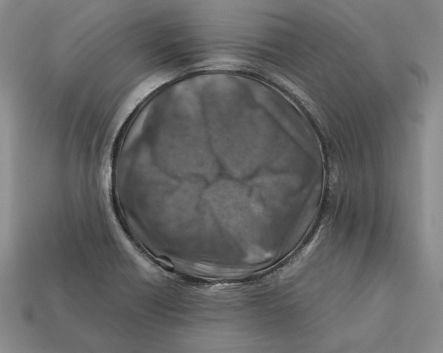 X0000112401418200909110919