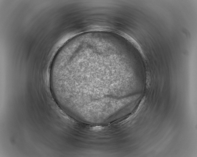 X0000112401419200909110919