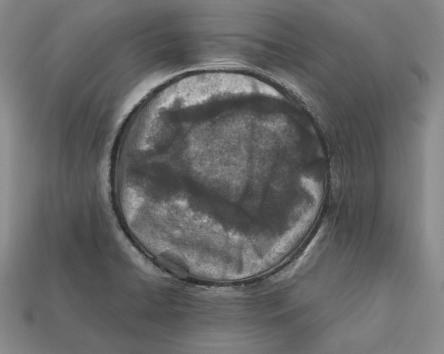 X0000112401422200909110919