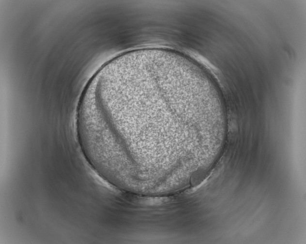 X0000112401423200909110919