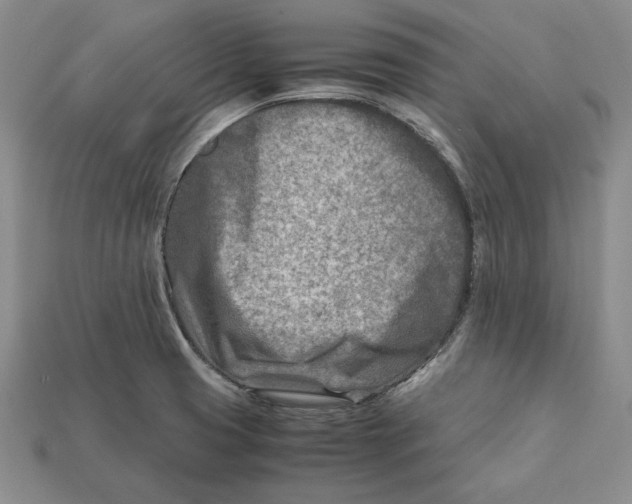 X0000112401425200909110919