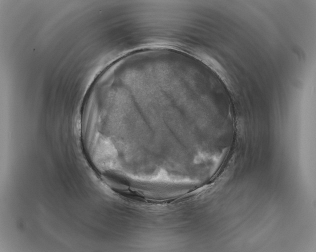 X0000112401428200909110919