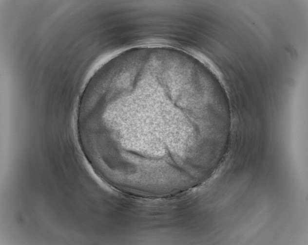 X0000112401429200909110919