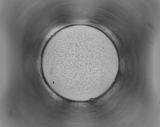 X0000112401432200909110919