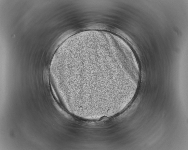 X0000112401433200909110919